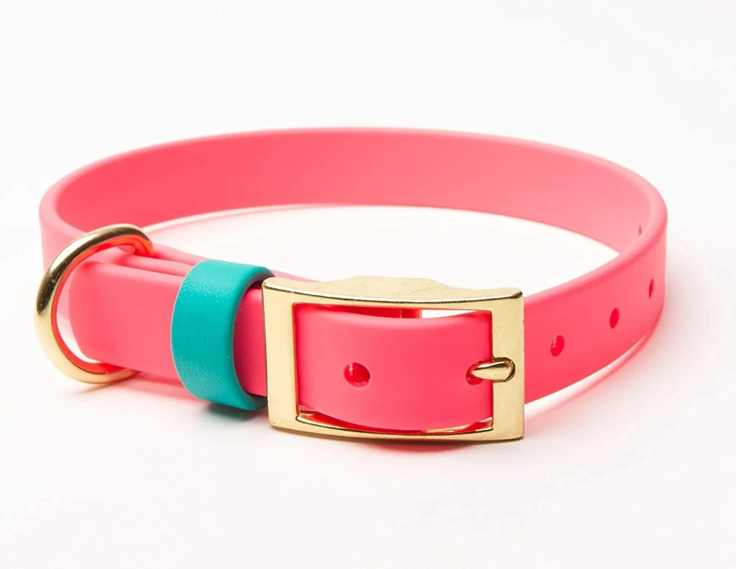 Dog Collar Manufacturers Waterproof Pet Products Reflective for Walking Dogs